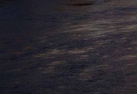 粉象生活vip真的可以赚钱吗?