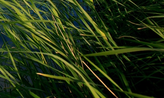 浙江台州一起学线下