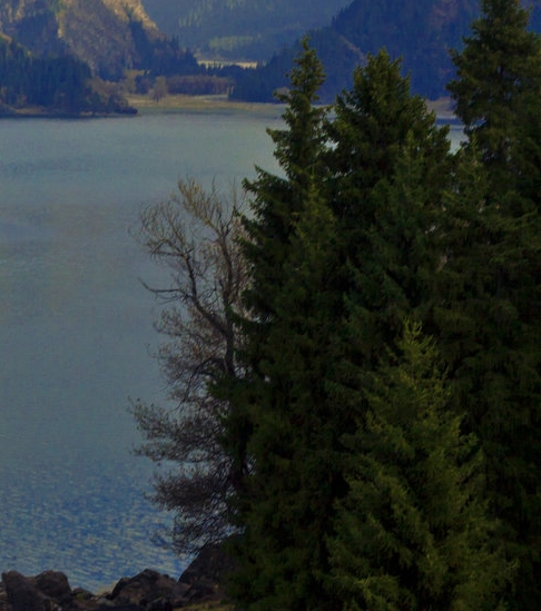 荆门粉象生活app