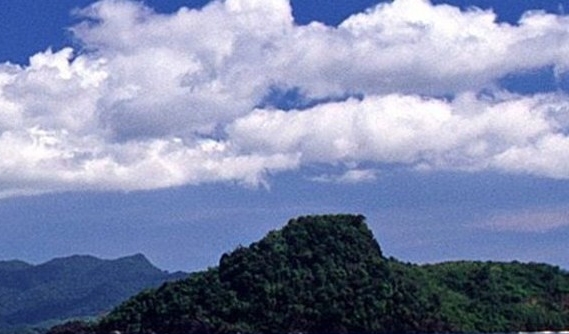 粉象生活公司简介