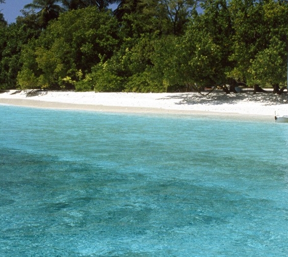 粉象生活发布任务