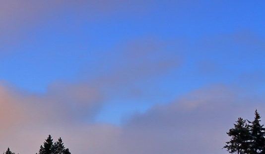 粉象生活省钱软件