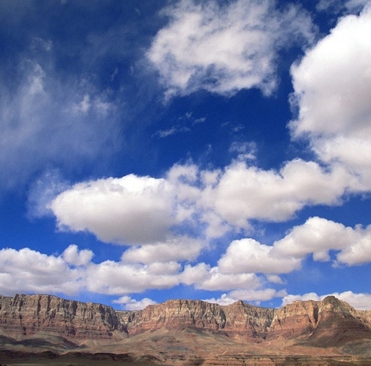 粉象生活升级太难