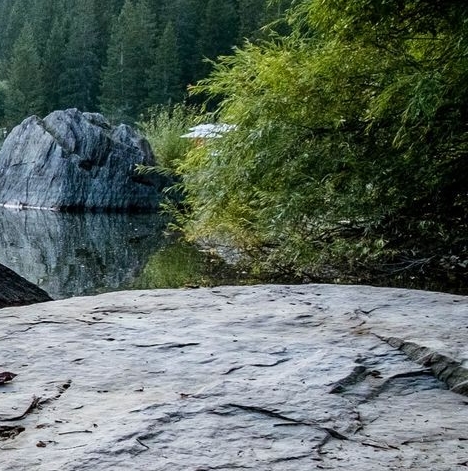 粉象生活升级后大概几天才看到收入