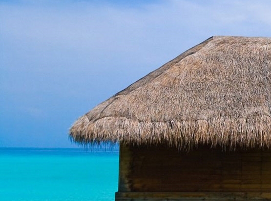 松原粉象生活软件