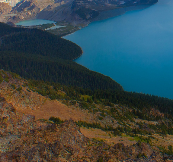 粉象生活好用吗