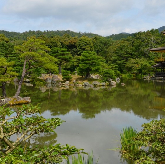 粉象生活商家版好用吗