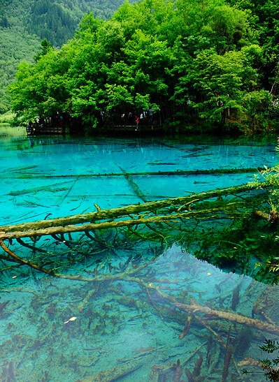 粉象生活真实收入