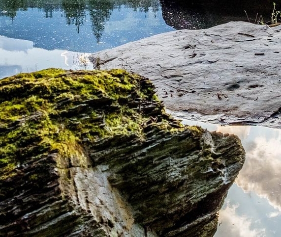 粉象生活是什么怎么样