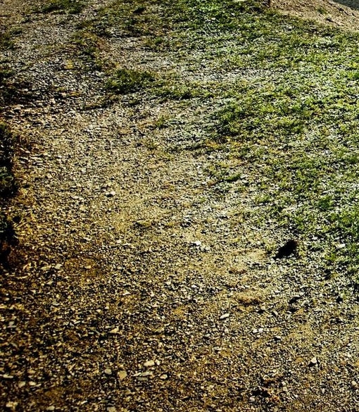 粉象生活开店日常