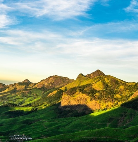 粉象生活合法吗