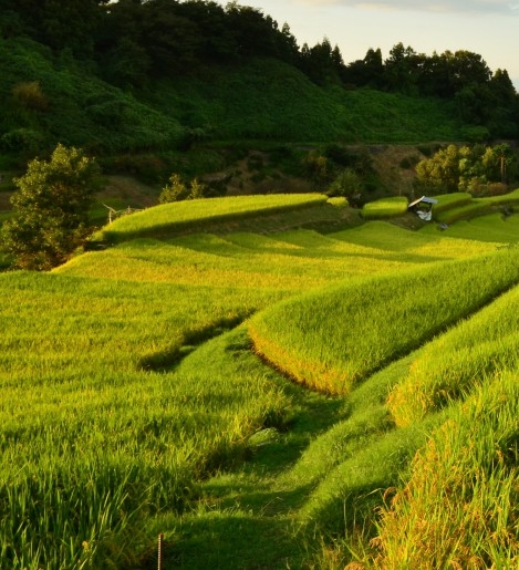 好汇生活汇收钱