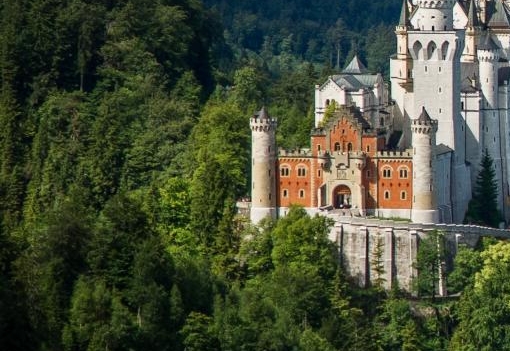 粉象邀请码填谁的最好