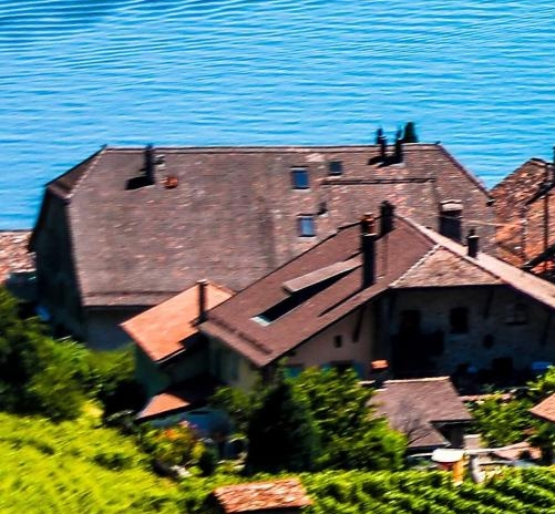 粉象生活是个什么东西