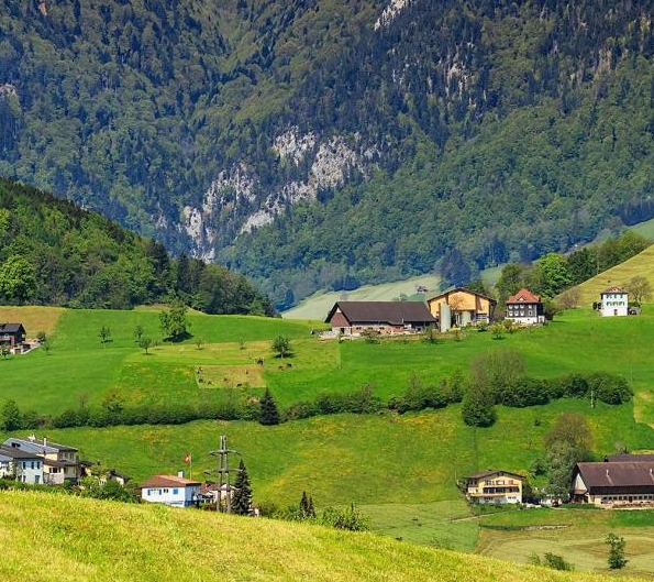 粉象生活免费水果好不好吃