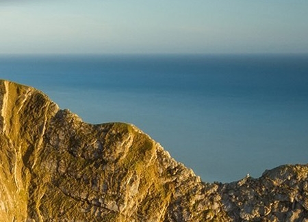 泉州粉象生活收入