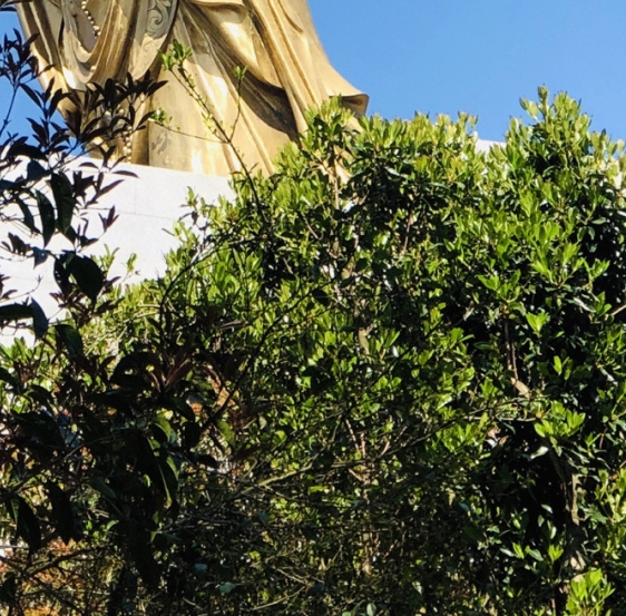 粉象生活APP怎么赚钱