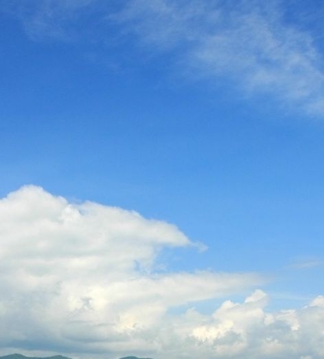 粉象生活是个什么东西