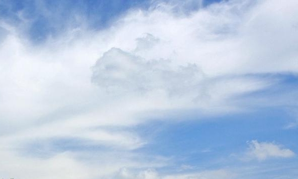 粉象优惠券是真的吗