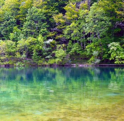 粉象生活会员买东西怎么用