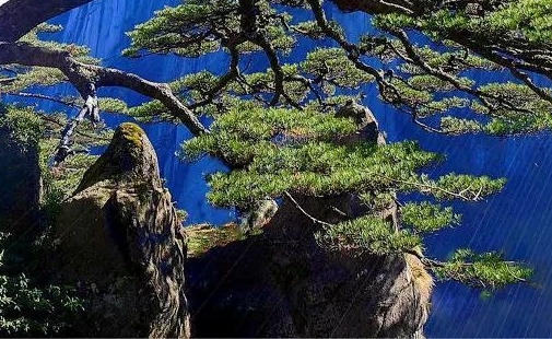 粉象生活广告目标