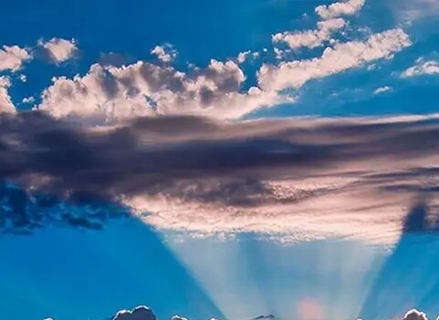 甜象适合湖南种吗