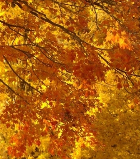 小红书生活研究所