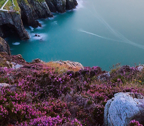 粉象生活怎么赚钱