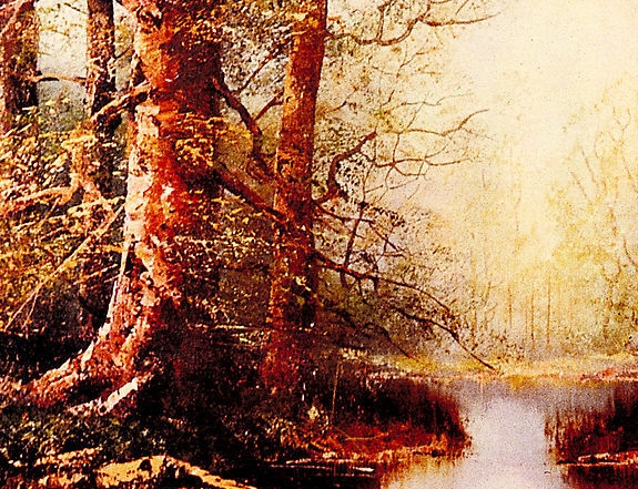 粉象生活平台定位