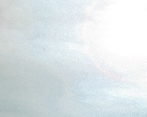 粉象生活几年啦