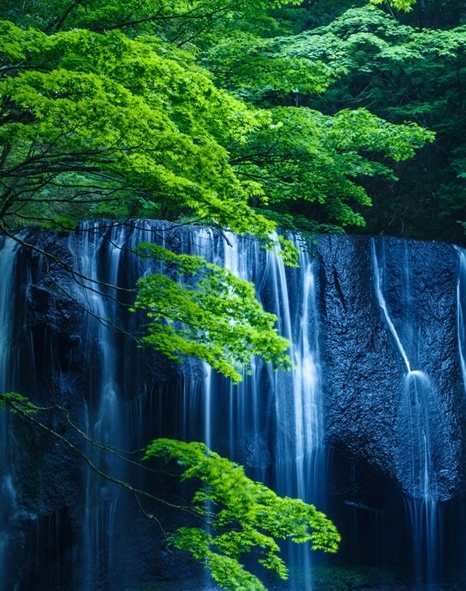 粉象优选里是正品吗