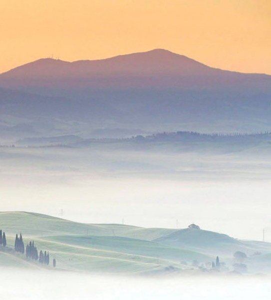 了解粉象生活推广