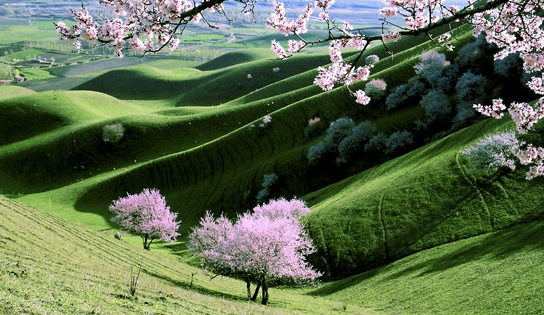 粉象生活内部规则