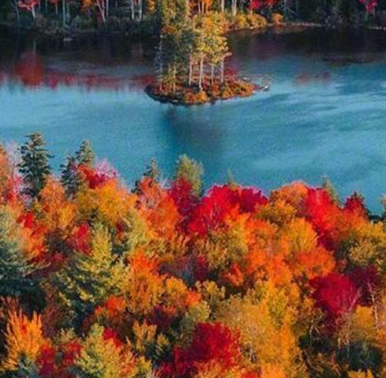 粉象生活app下载