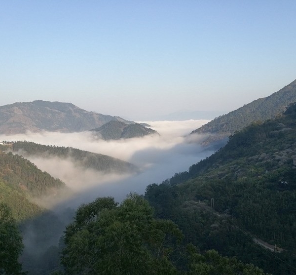 粉象生活下载app