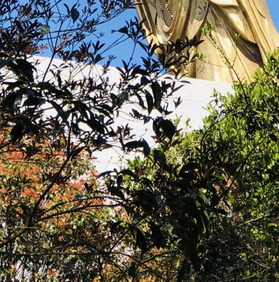 粉象生活app正规吗