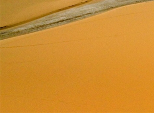 中山粉象生活收入