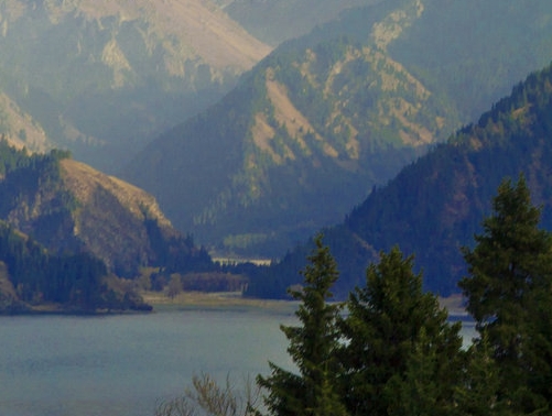 小森生活怎么获得大量金币