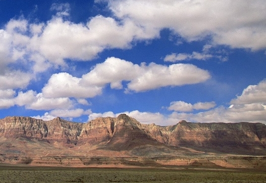 粉象生活真实收入