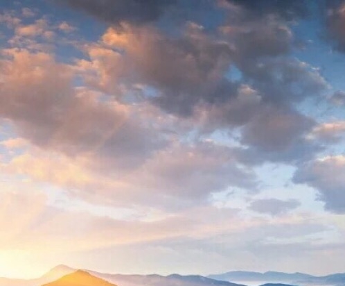 浙江运营粉象生活网站