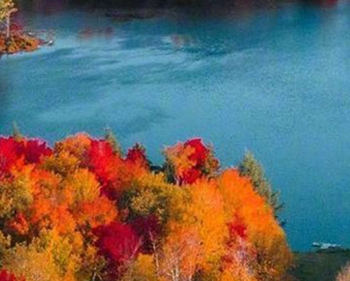 粉象生活如何增加店铺粉丝