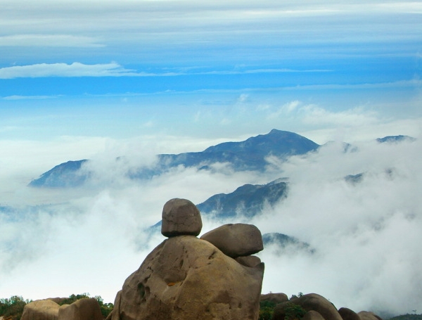 如何成为粉象vip