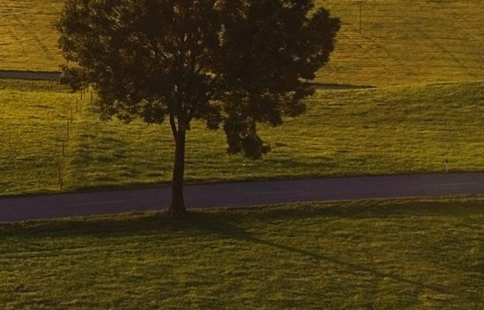 粉象生活怎么没有推送新闻