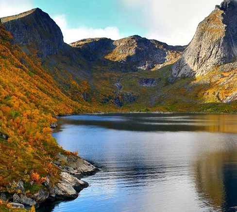 粉象生活推广文章