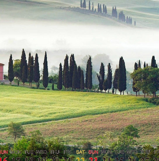 粉象生活升级后大概几天才看到收入