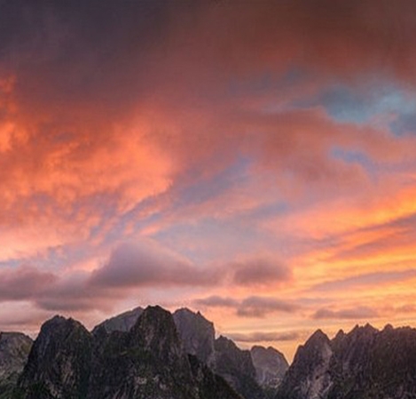 湖北品质粉象生活赚钱么