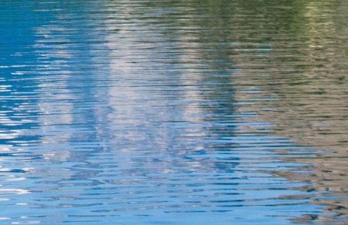 小红书年度生活趋势