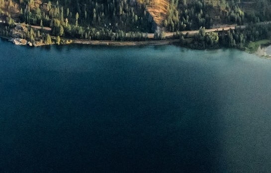 粉象生活如何收费