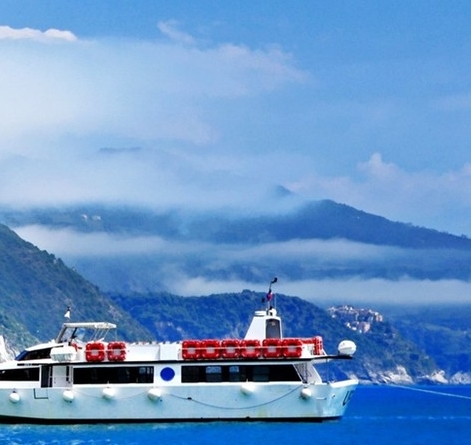 粉象生活引流脚本