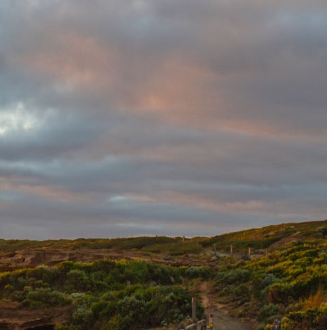 淘粉生活真相骗局